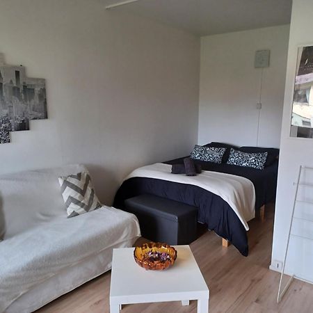 Studio Rdc Calme Avec Parking Ferme Pres Autoroute Et Tram C Mulhouse Exteriör bild