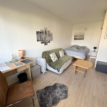 Studio Rdc Calme Avec Parking Ferme Pres Autoroute Et Tram C Mulhouse Exteriör bild
