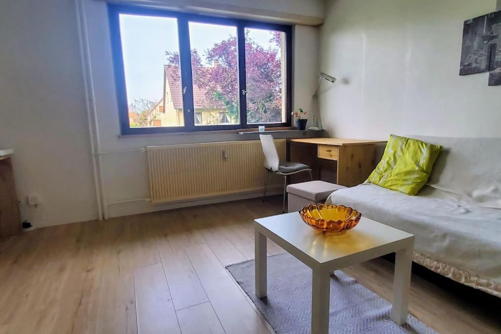 Studio Rdc Calme Avec Parking Ferme Pres Autoroute Et Tram C Mulhouse Exteriör bild