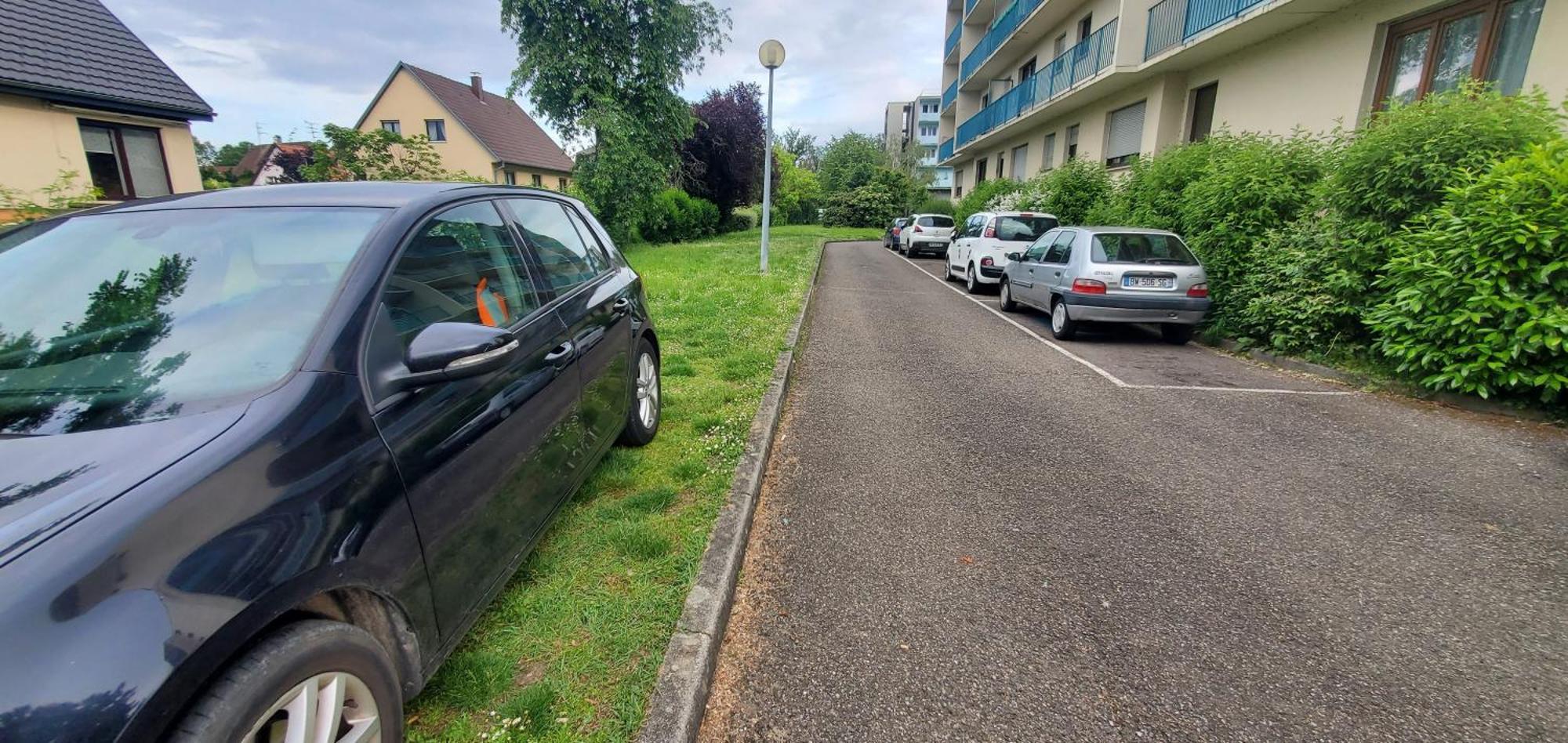 Studio Rdc Calme Avec Parking Ferme Pres Autoroute Et Tram C Mulhouse Exteriör bild